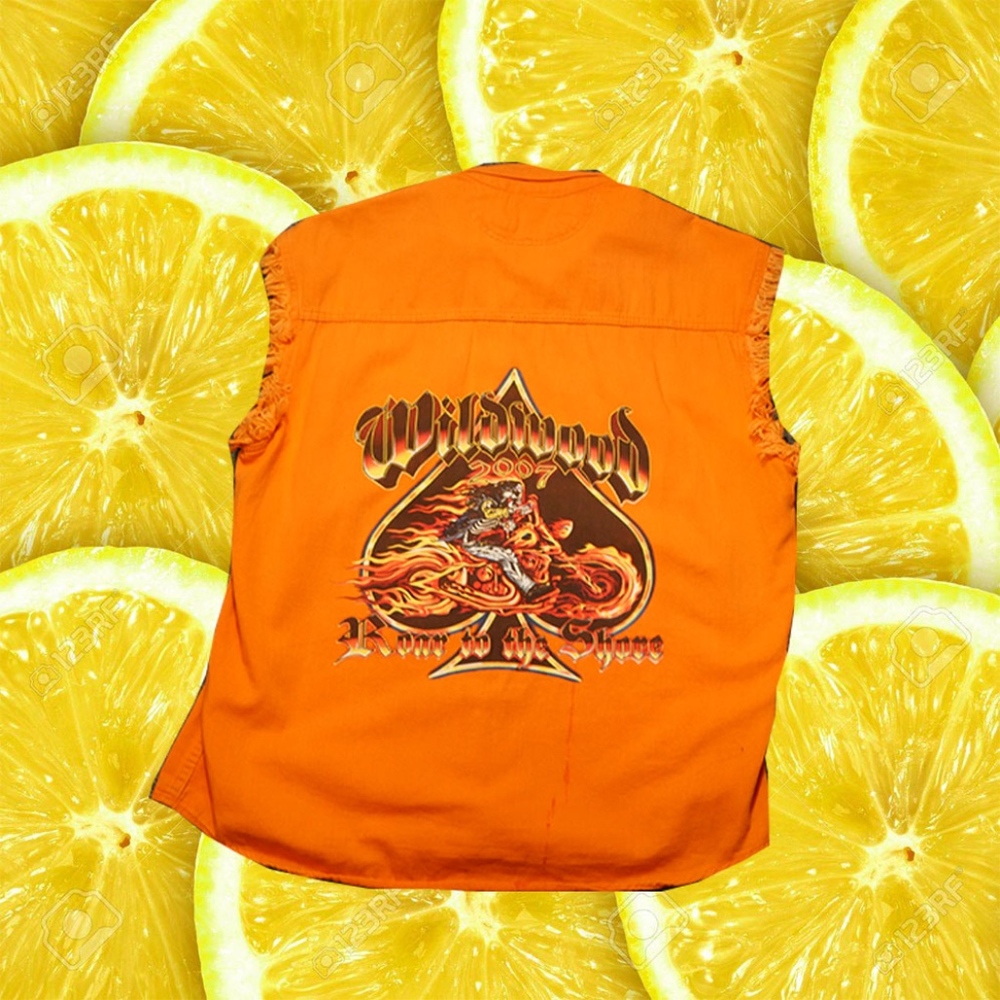 Roar On The Shore Biker Vest (2007)